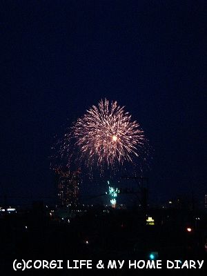 c0153410_10231963.jpg