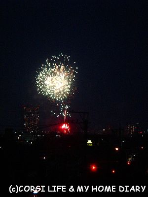 c0153410_10244677.jpg