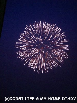 c0153410_10252314.jpg