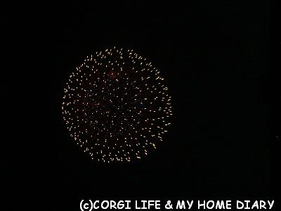 c0153410_102539.jpg