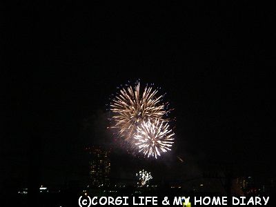 c0153410_10292358.jpg