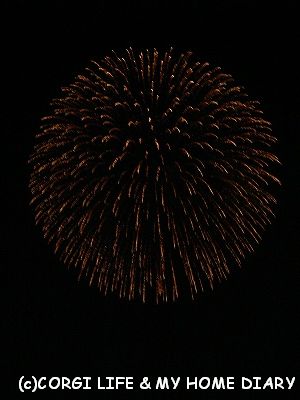 c0153410_10294173.jpg