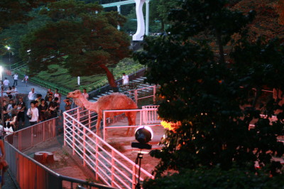 f0097620_0292471.jpg