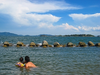 d0030521_1485920.jpg