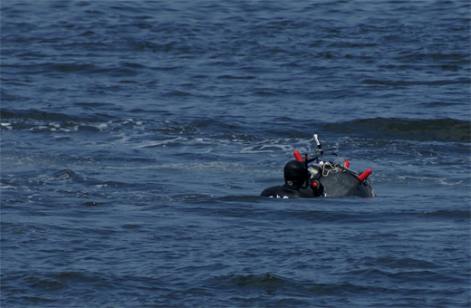 c0147123_3172575.jpg