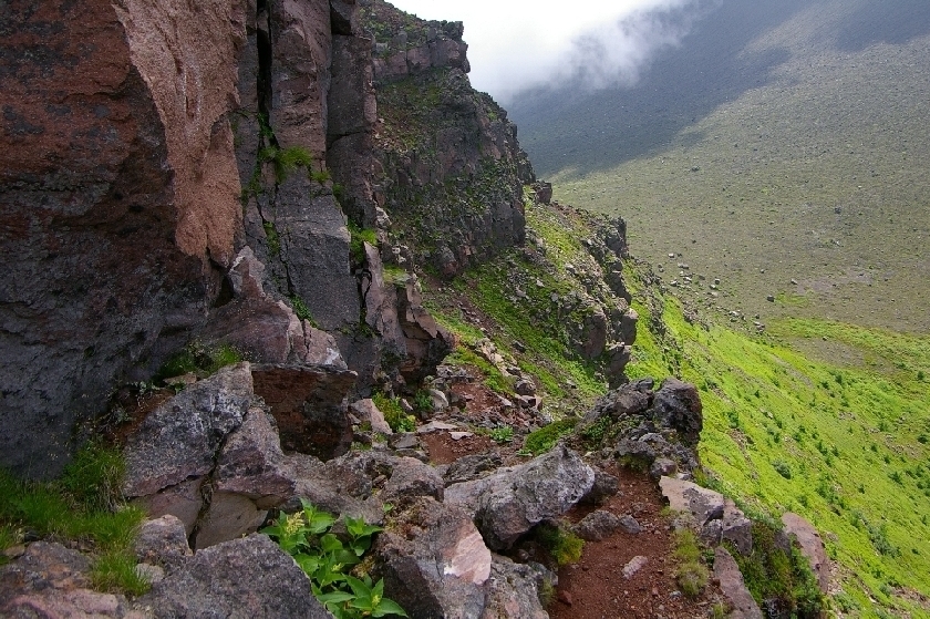 b0062024_17134160.jpg