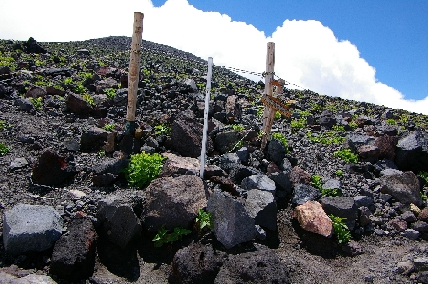b0062024_17231685.jpg