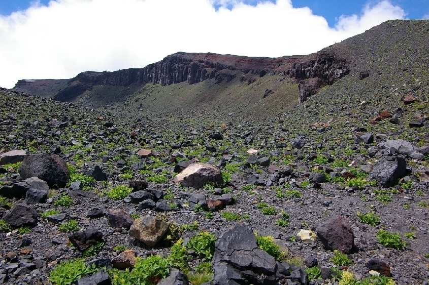 b0062024_17253417.jpg