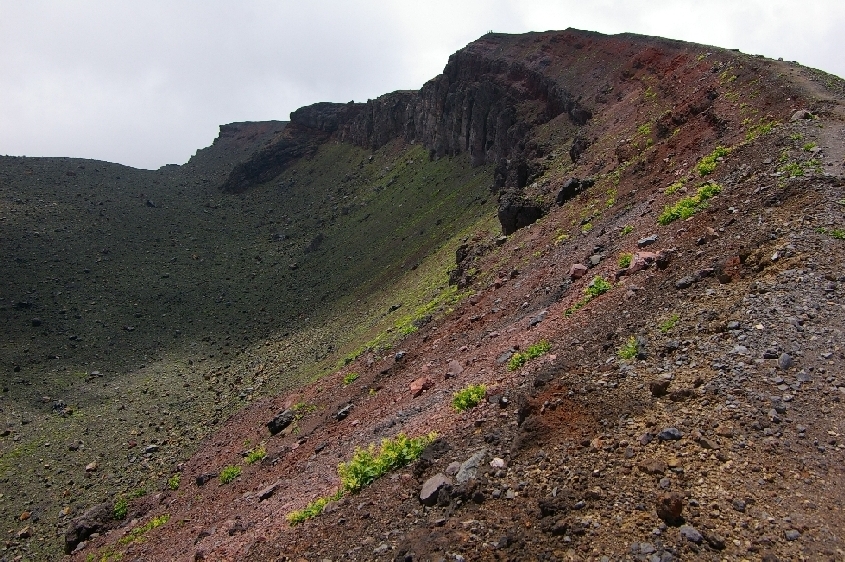 b0062024_1727917.jpg