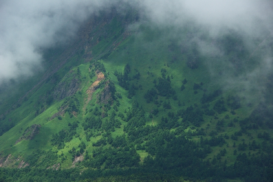 b0062024_17323542.jpg
