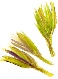 f0135024_20252433.jpg