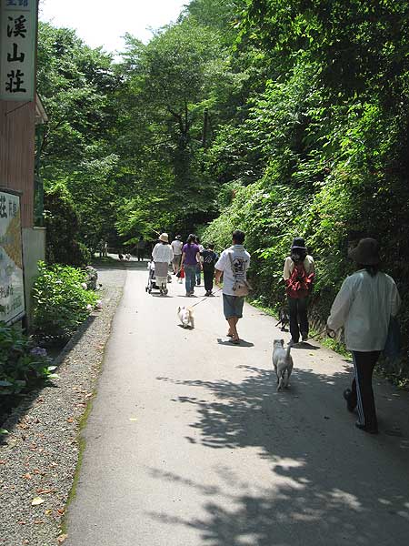 b0066826_1038673.jpg