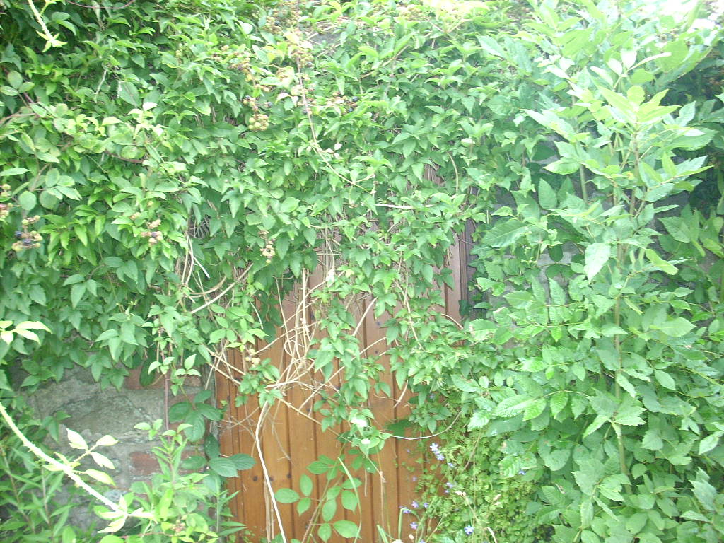 d0145528_6174177.jpg