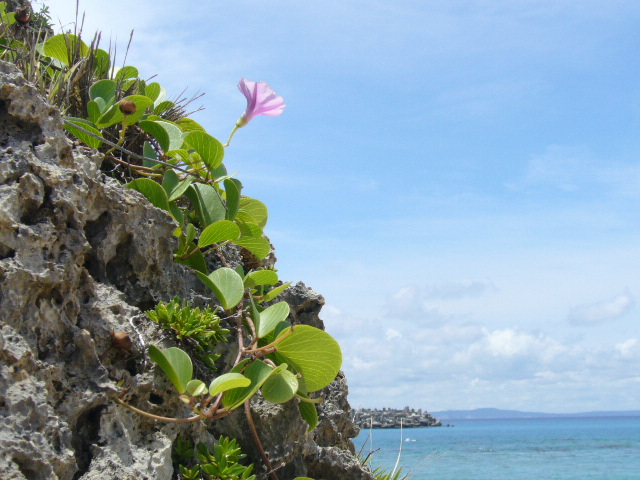 f0023329_10363952.jpg