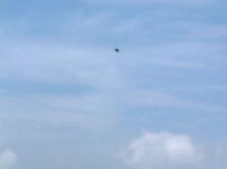 e0063632_18455084.jpg