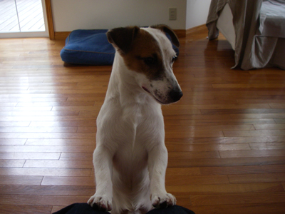 e0008833_167535.jpg