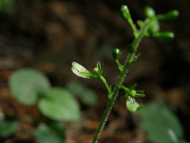 e0145033_11272593.jpg