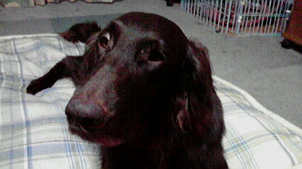 c0048736_181316.jpg