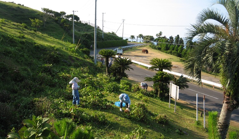 f0042737_20502514.jpg