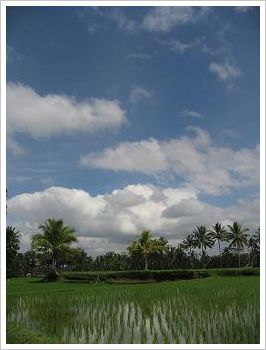 c0148238_2257326.jpg