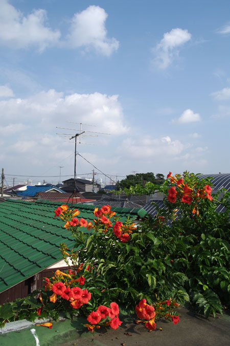 f0149442_1312791.jpg