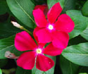 c0085543_229388.jpg