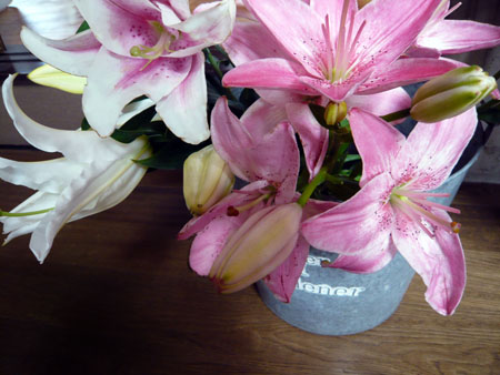 c0131544_14264413.jpg
