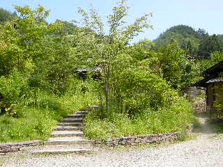 a0072045_2395652.jpg