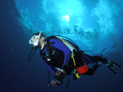 d0065247_20403434.jpg