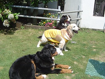 e0057248_18574771.jpg