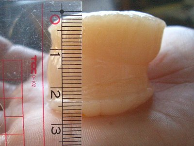 f0095648_2263628.jpg