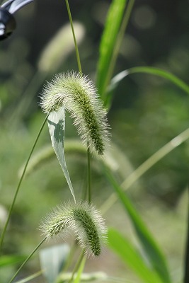 a0098859_22374631.jpg