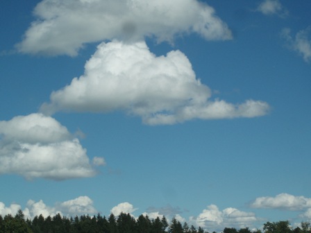 b0091164_305426.jpg