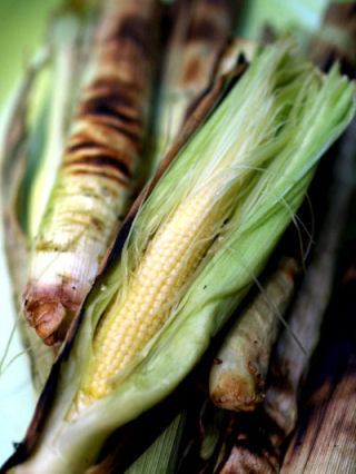 f0107364_13432594.jpg