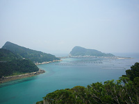 c0027965_1761335.jpg