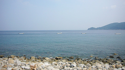 c0027965_23495057.jpg
