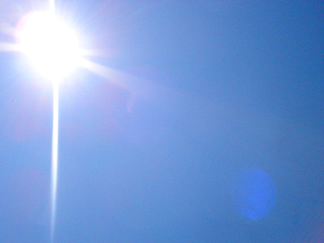 f0132565_11362670.jpg