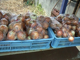 f0142668_63930.jpg