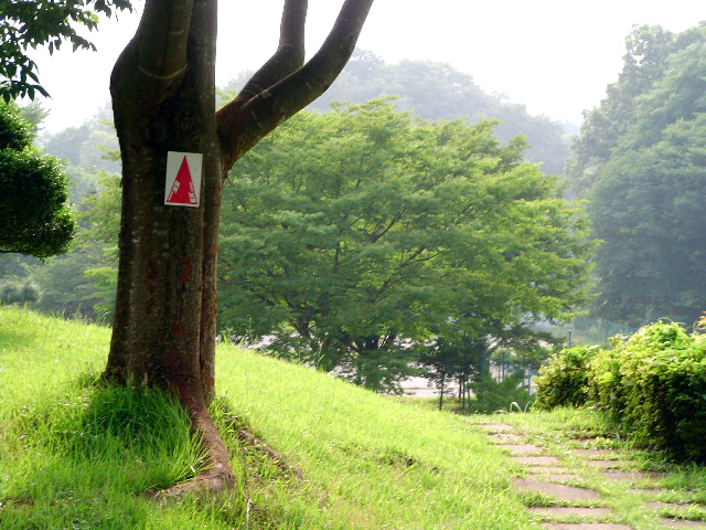 e0023872_21145123.jpg