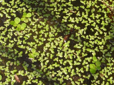c0091679_0581799.jpg