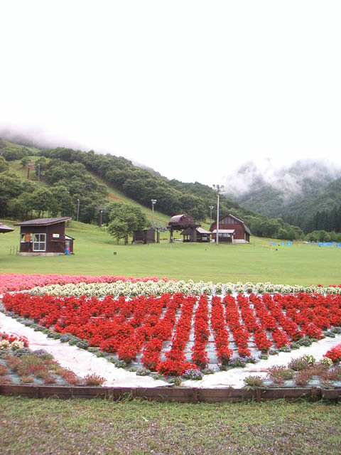 b0142380_2272823.jpg