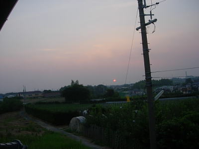 b0136683_16221598.jpg