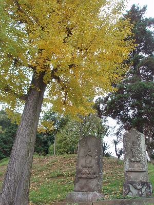 c0105785_8444272.jpg