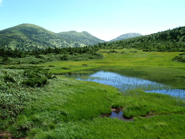 a0007388_20403466.jpg