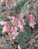 c0018489_2350736.jpg