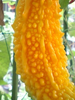f0085291_21394232.jpg