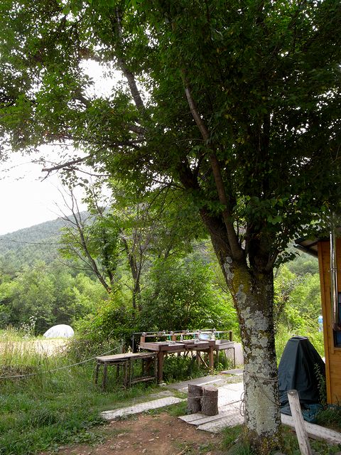 a0093592_2342374.jpg