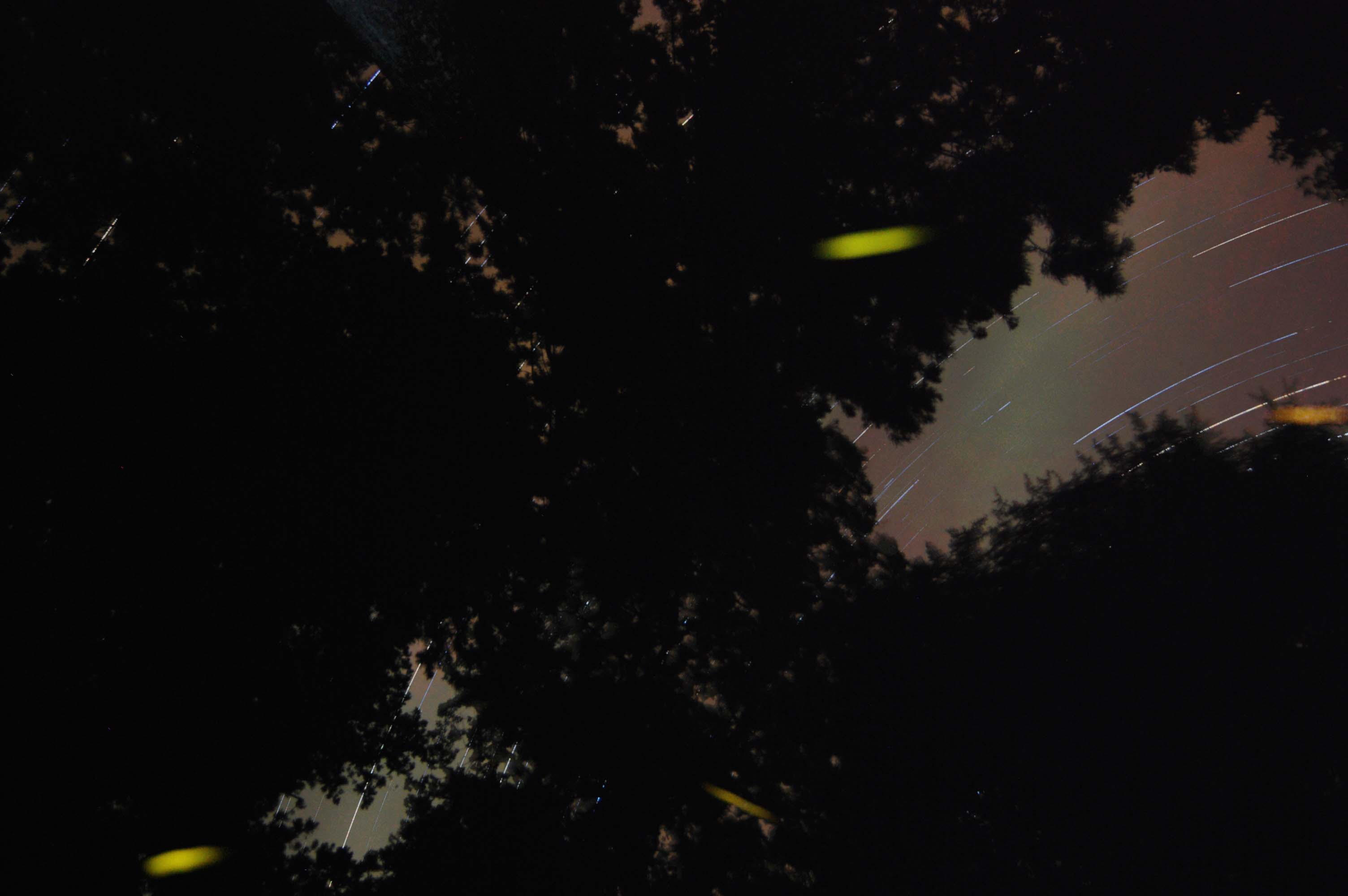 f0047593_103559100.jpg