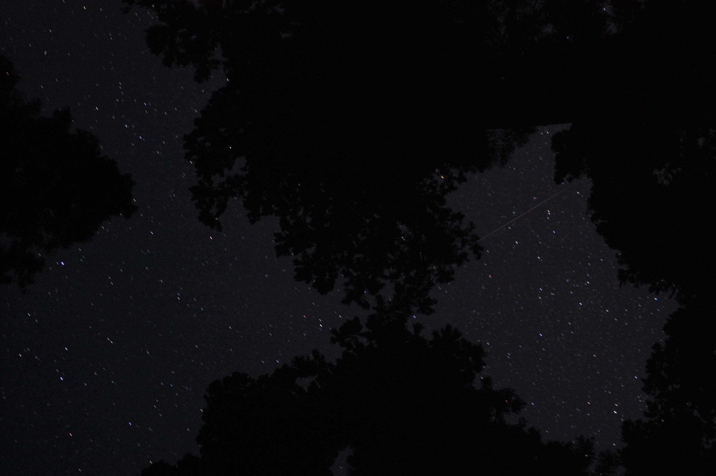 f0047593_10462575.jpg