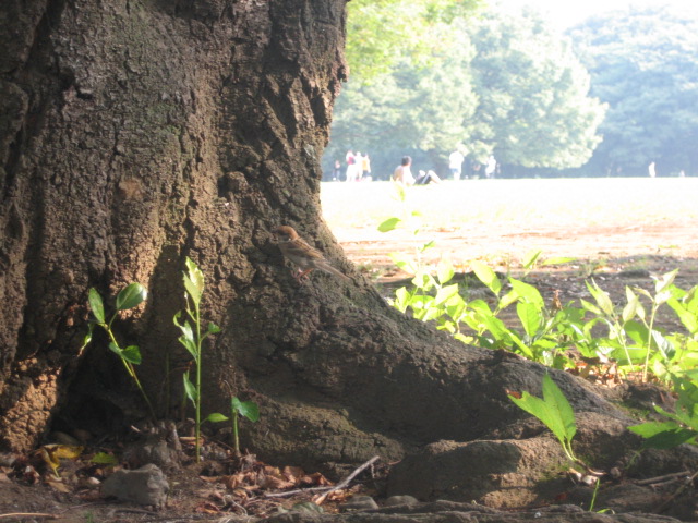 b0136300_21471997.jpg